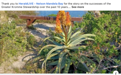 Kouga Celebrates five new Wind & Wilderness Reserves